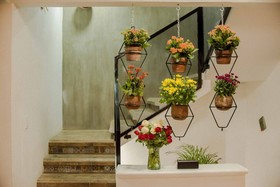 Casa Flora