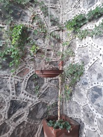 Hotel Vitorina