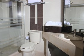 Hotel Panorámico Feregrino