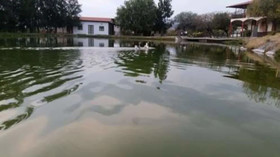 Cabanas Los Pocitos