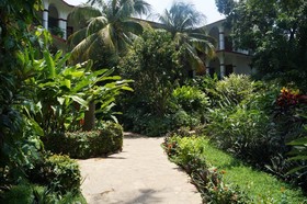 La Ceiba Chiapa de Corzo