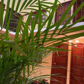 Hotel Santa Fe