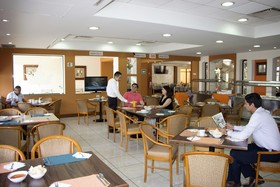 Sicomoro