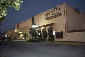 Sicomoro