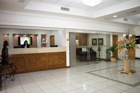 Sicomoro