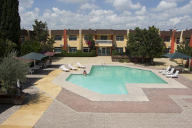 Sicomoro