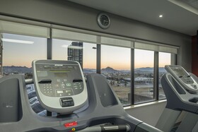 Wingate by Wyndham Chihuahua