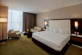 Hilton Garden Inn Puebla Angelópolis