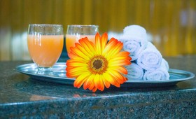 Hotel Concierge Plaza Colima