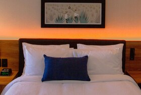 TRYP By Wyndham Ciudad Guzmán UTTSA