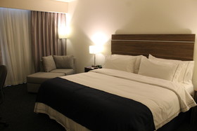 Holiday Inn Express Culiacan