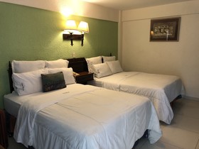 Hotel Francés