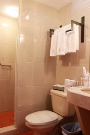 Hotel de la Paz