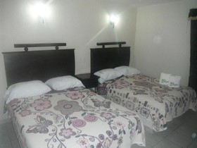 Hotel 1988 Guanajuato