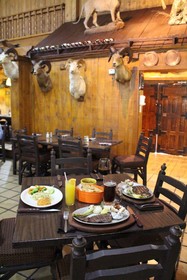 Gamma Guaymas Armida