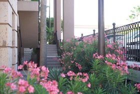 Hotel Royal Palace