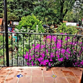 Hotel Estrella De Huasca