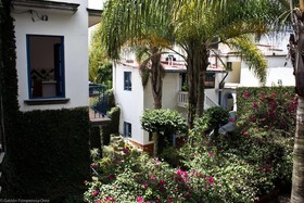 Posada Del Cafeto