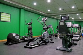 Holiday Inn La Piedad
