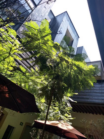 Elena de Cobre Hotel