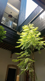 Elena de Cobre Hotel