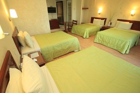 Enterprise Inn Express
