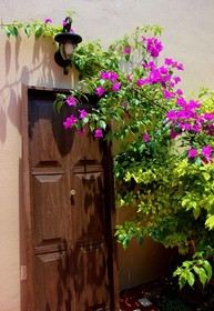 Entre Patios Hotel Boutique