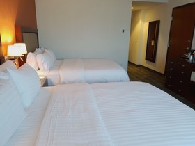 Holiday Inn & Suites Leon Plaza Mayor