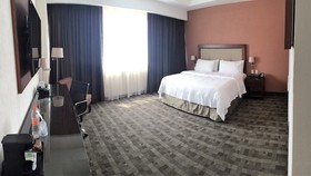 Holiday Inn & Suites Leon Plaza Mayor