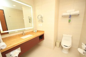 Holiday Inn & Suites Leon Plaza Mayor
