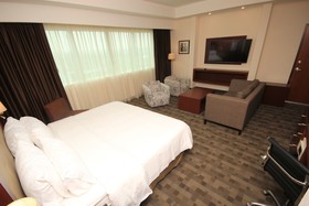 Holiday Inn & Suites Leon Plaza Mayor