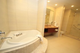 Holiday Inn & Suites Leon Plaza Mayor