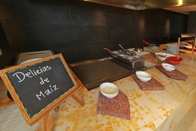 Holiday Inn & Suites Leon Plaza Mayor