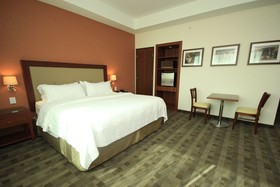 Holiday Inn & Suites Leon Plaza Mayor