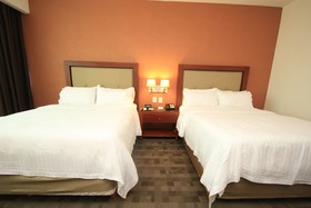 Holiday Inn & Suites Leon Plaza Mayor