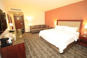 Holiday Inn & Suites Leon Plaza Mayor