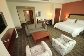 Holiday Inn & Suites Leon Plaza Mayor