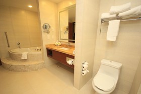 Holiday Inn & Suites Leon Plaza Mayor