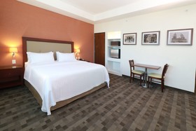 Holiday Inn & Suites Leon Plaza Mayor