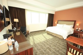 Holiday Inn & Suites Leon Plaza Mayor