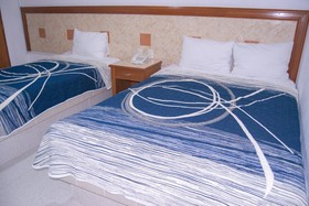 Hotel Niza Palace
