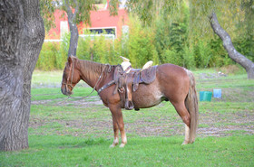 Hotel Vergel De La Sierra
