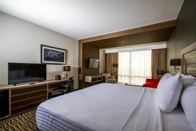 Hilton Garden Inn Leon