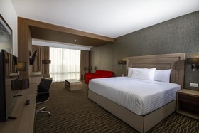 Hilton Garden Inn Leon