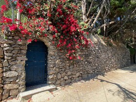 Magnolias Jardin & Boutique Suites