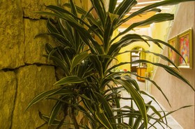 Monte León Hotel Boutique y Galería