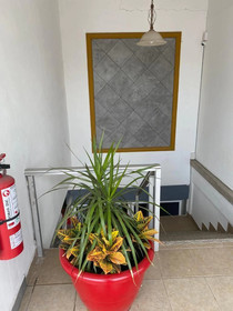 Hotel Suites Fátima