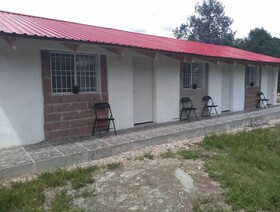 Hakal Mi Lindo Chihuahua