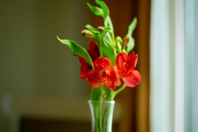 Hotel Parque Central