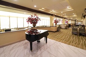 MS Milenium